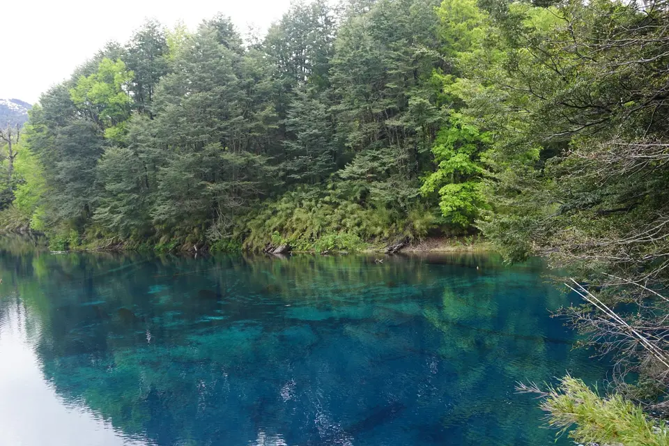 Trabajo técnico de campo en un entorno forestal
