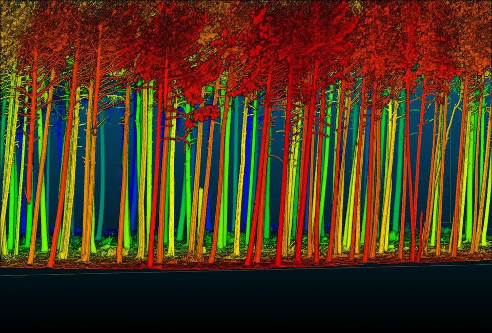 Modelo digital aplicado al análisis forestal